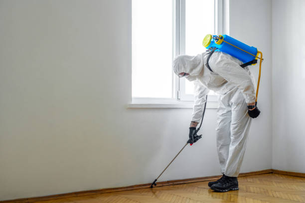 Best Pest Exclusion Services  in Palestine, IL